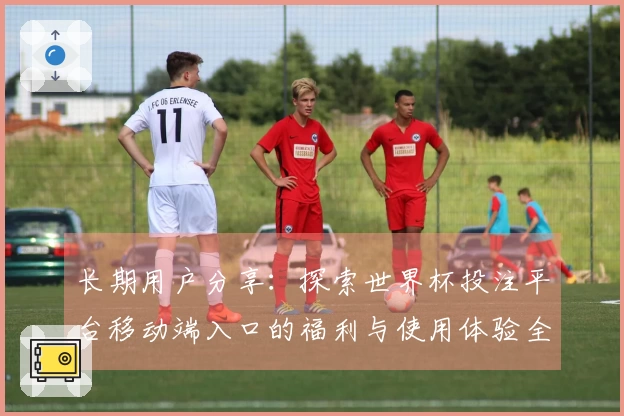 长期用户分享：探索世界杯投注平台移动端入口的福利与使用体验全汇总