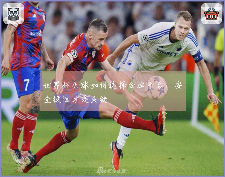 世界杯买球如何选择合适平台，安全投注才是关键