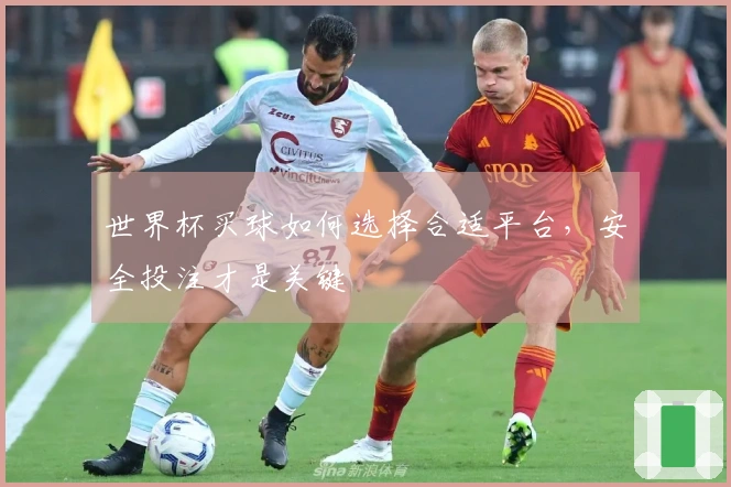世界杯买球如何选择合适平台，安全投注才是关键