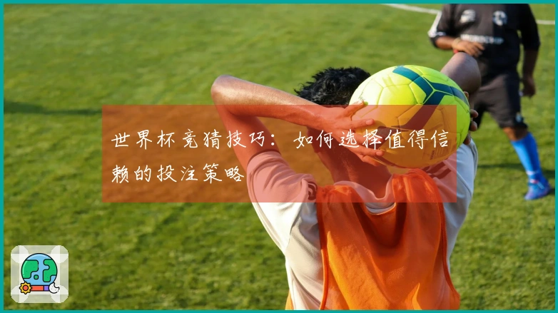 世界杯竞猜技巧：如何选择值得信赖的投注策略