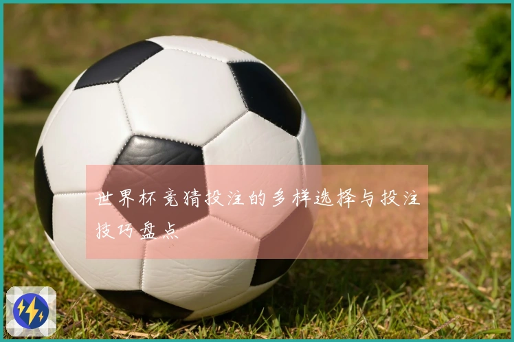 世界杯竞猜投注的多样选择与投注技巧盘点