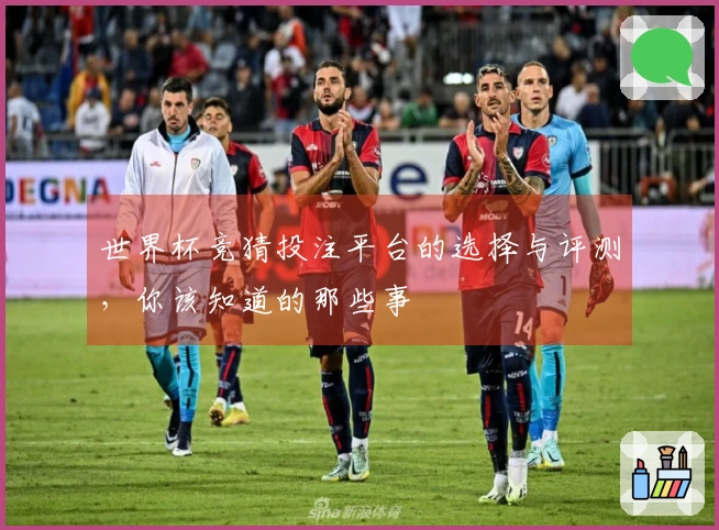 世界杯竞猜投注平台的选择与评测，你该知道的那些事