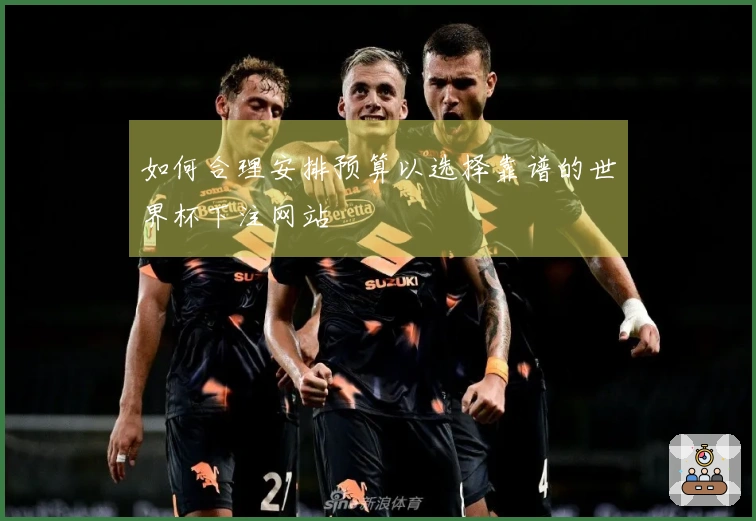 如何合理安排预算以选择靠谱的世界杯下注网站