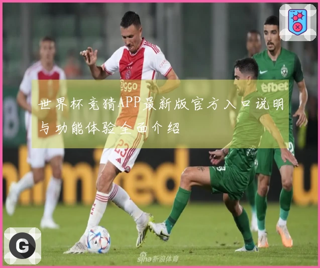世界杯竞猜APP最新版官方入口说明与功能体验全面介绍