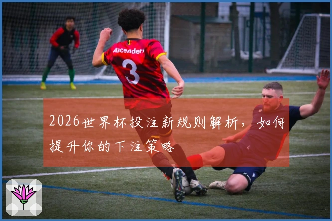 2026世界杯投注新规则解析，如何提升你的下注策略
