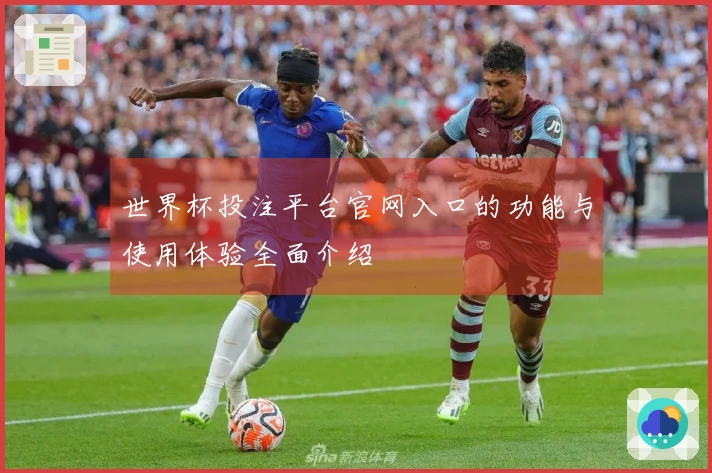 世界杯投注平台官网入口的功能与使用体验全面介绍