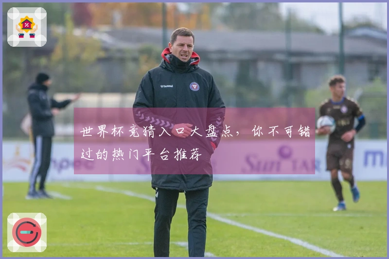 世界杯竞猜入口大盘点，你不可错过的热门平台推荐