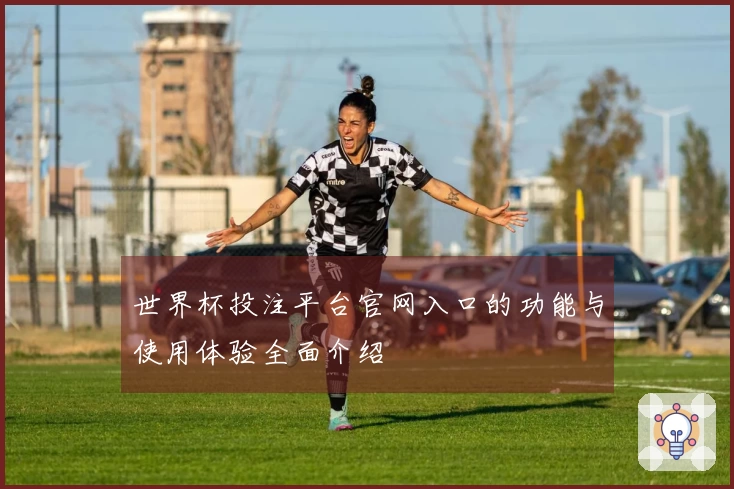 世界杯投注平台官网入口的功能与使用体验全面介绍