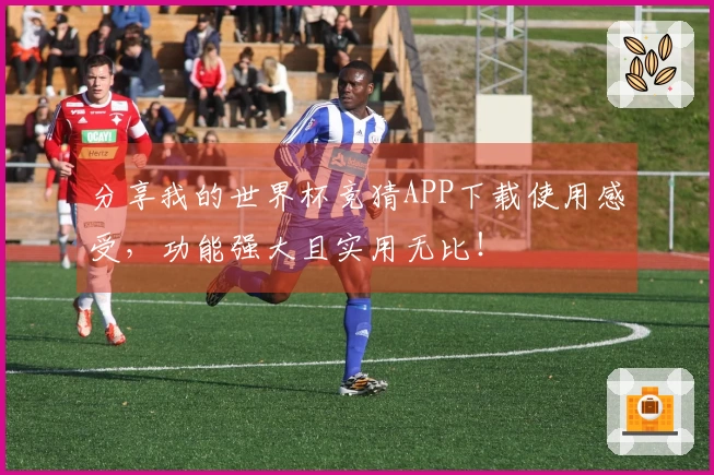 分享我的世界杯竞猜APP下载使用感受,功能强大且实用无比!