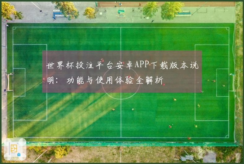 世界杯投注平台安卓APP下载版本说明：功能与使用体验全解析