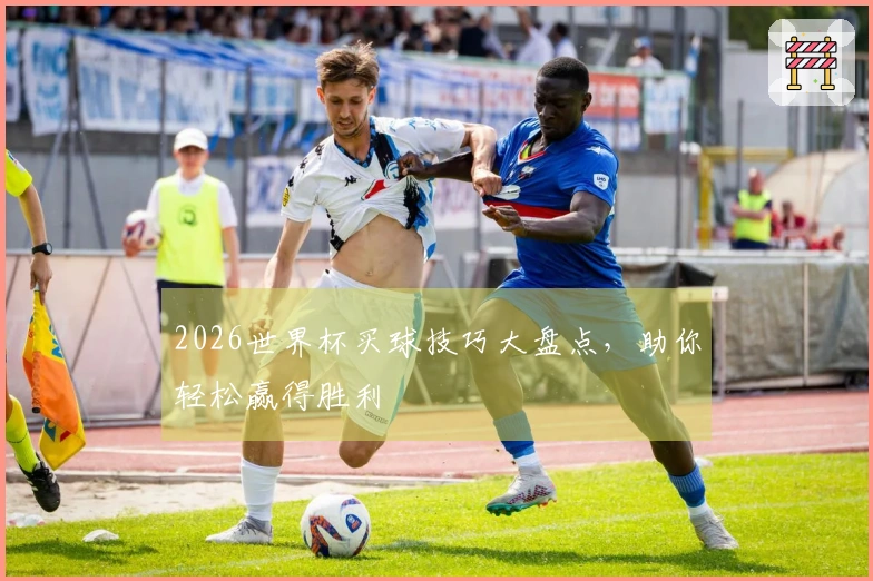 2026世界杯买球技巧大盘点，助你轻松赢得胜利