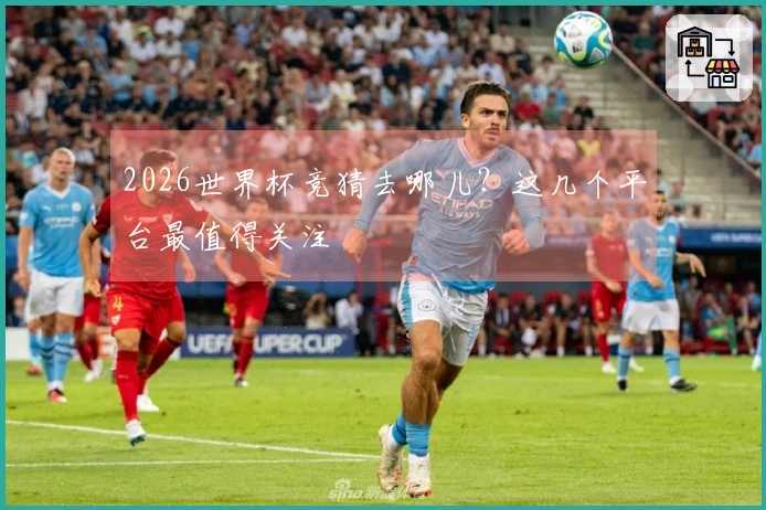 2026世界杯竞猜去哪儿？这几个平台最值得关注