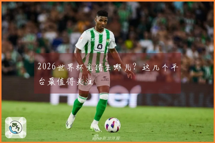 2026世界杯竞猜去哪儿？这几个平台最值得关注