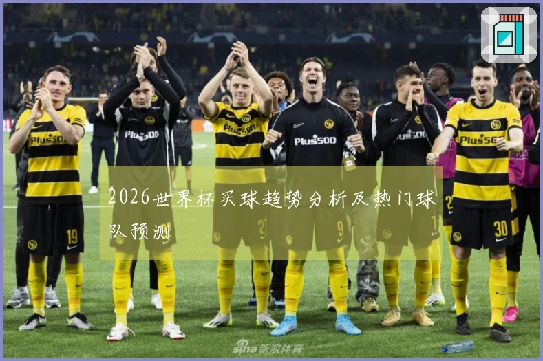 2026世界杯买球趋势分析及热门球队预测