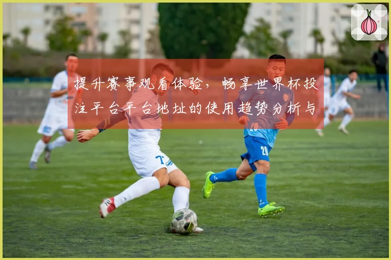 提升赛事观看体验，畅享世界杯投注平台平台地址的使用趋势分析与功能介绍