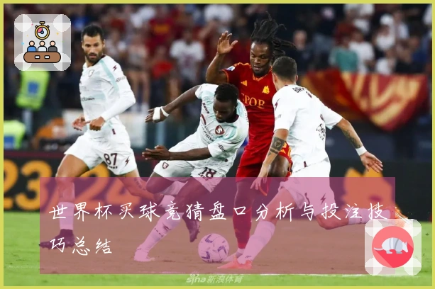 世界杯买球竞猜盘口分析与投注技巧总结