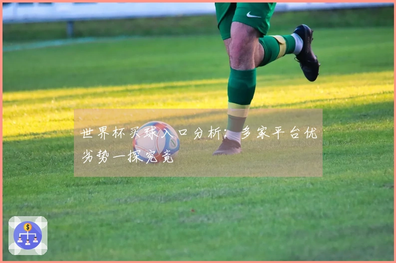 世界杯买球入口分析:多家平台优劣势一探究竟