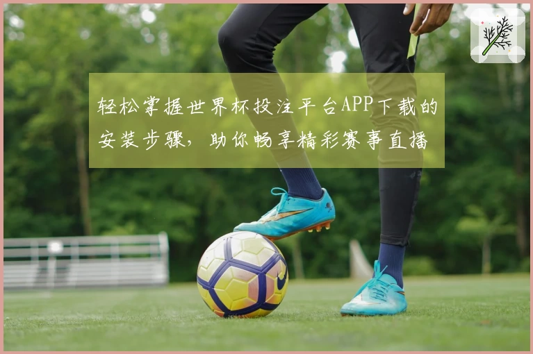 轻松掌握世界杯投注平台APP下载的安装步骤，助你畅享精彩赛事直播