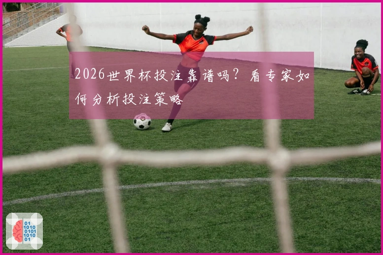 2026世界杯投注靠谱吗？看专家如何分析投注策略