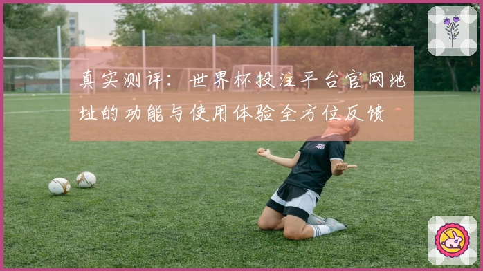 真实测评：世界杯投注平台官网地址的功能与使用体验全方位反馈