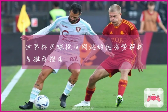 世界杯买球投注网站的优劣势解析与推荐指南