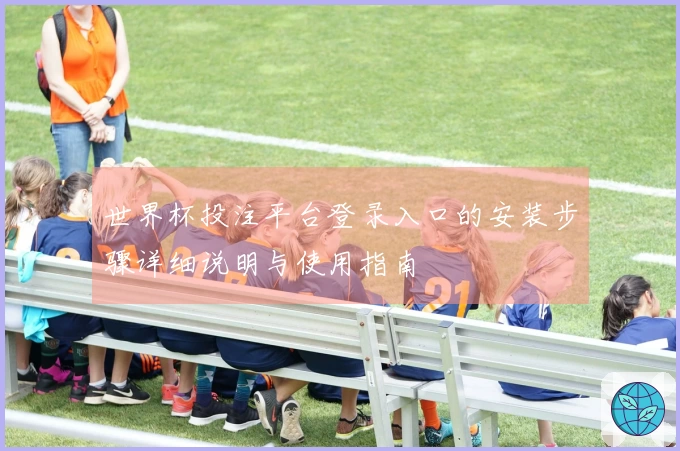 世界杯投注平台登录入口的安装步骤详细说明与使用指南