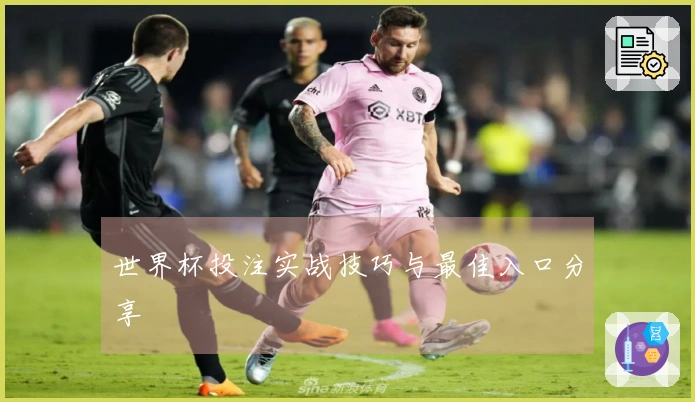 世界杯投注实战技巧与最佳入口分享