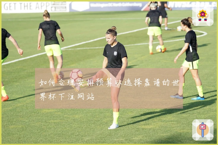 如何合理安排预算以选择靠谱的世界杯下注网站