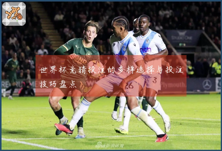 世界杯竞猜投注的多样选择与投注技巧盘点